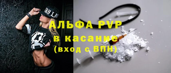 индика Горнозаводск