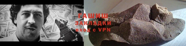 шишки Сатка