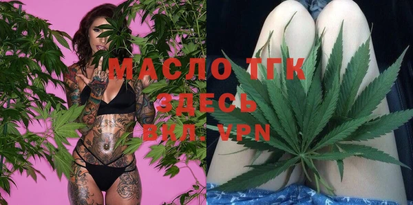 индика Горнозаводск