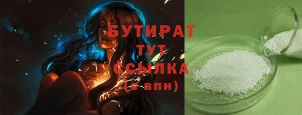 индика Горнозаводск