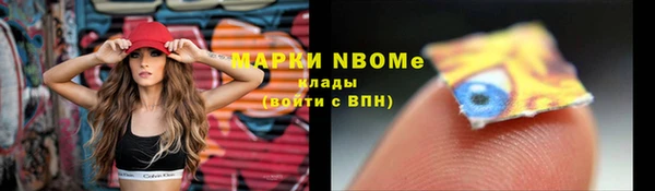 apvp Вяземский