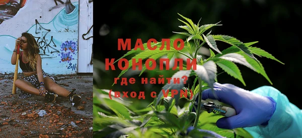apvp Вяземский