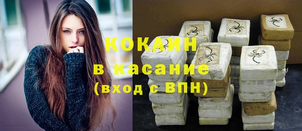 индика Горнозаводск