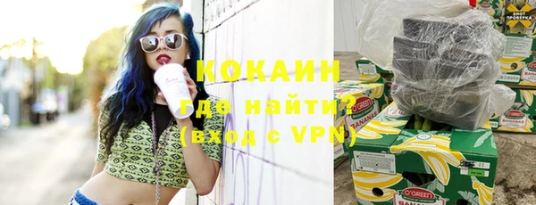 apvp Вяземский