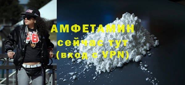 индика Горнозаводск