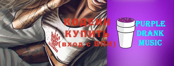 apvp Вяземский