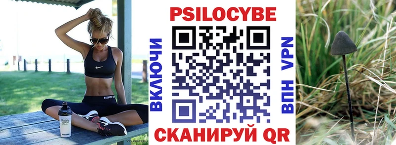 дарнет шоп  Комсомольск-на-Амуре  Галлюциногенные грибы Magic Shrooms 
