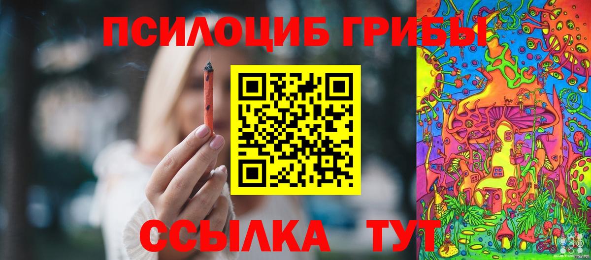 Псилоцибиновые грибы GOLDEN TEACHER Комсомольск-на-Амуре