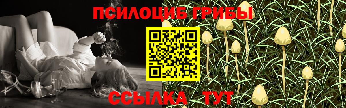 Галлюциногенные грибы GOLDEN TEACHER  Вход с VPN  Комсомольск-на-Амуре 